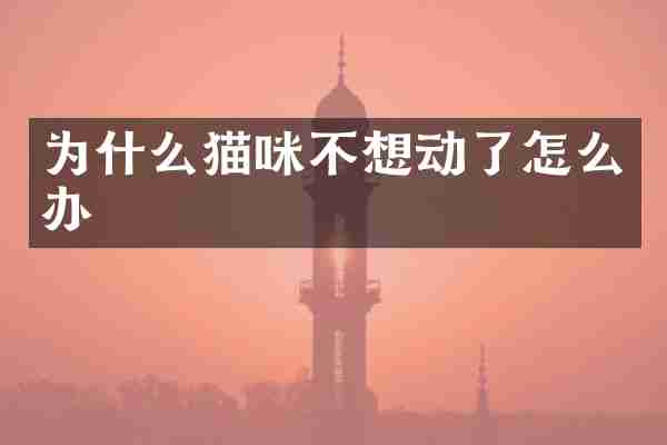 为什么猫咪不想动了怎么办