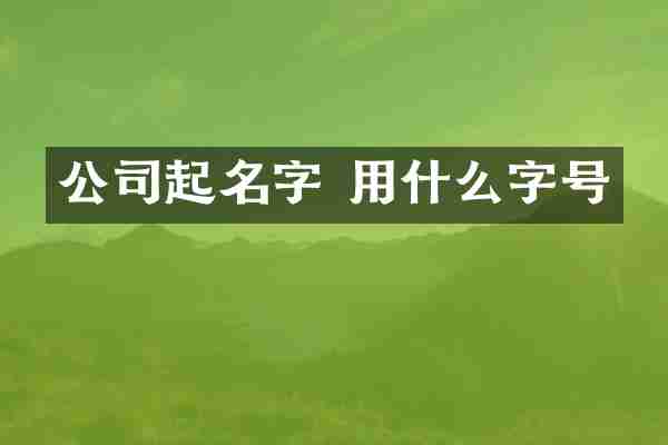 公司起名字 用什么字号