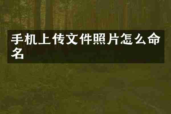 手机上传文件照片怎么命名