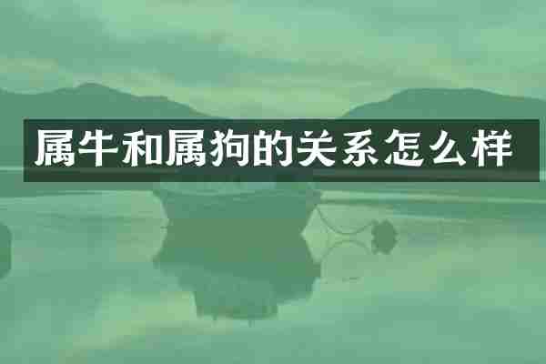 属牛和属狗的关系怎么样