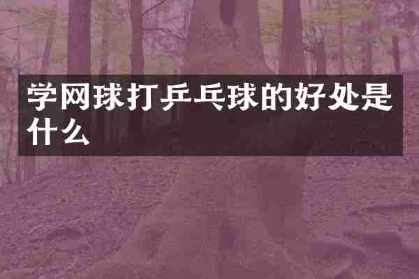 学网球打乒乓球的好处是什么