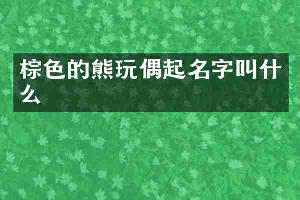 棕色的熊玩偶起名字叫什么