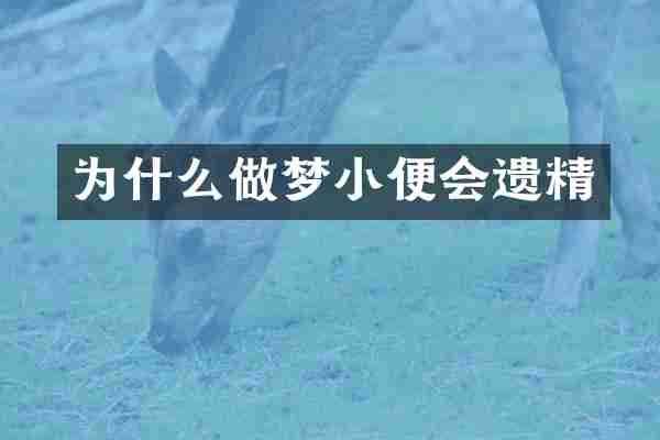 为什么做梦小便会遗精
