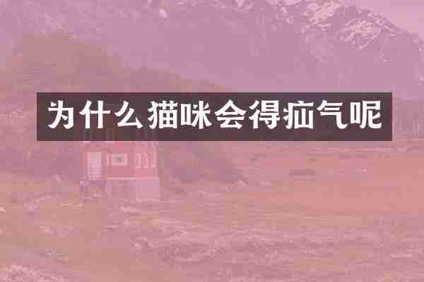 为什么猫咪会得疝气呢