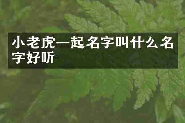 小老虎一起名字叫什么名字好听