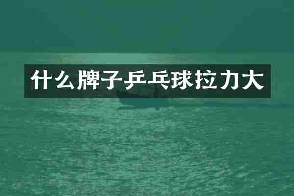 什么牌子乒乓球拉力大