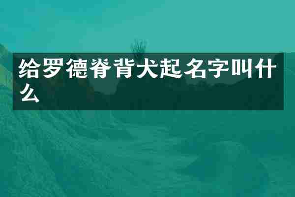 给罗德脊背犬起名字叫什么