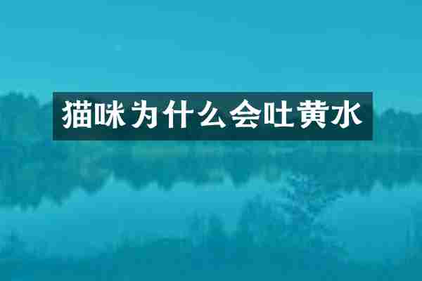 猫咪为什么会吐黄水