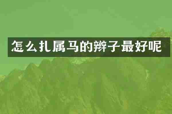 怎么扎属马的辫子最好呢