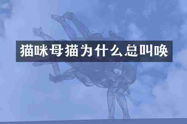 猫咪母猫为什么总叫唤