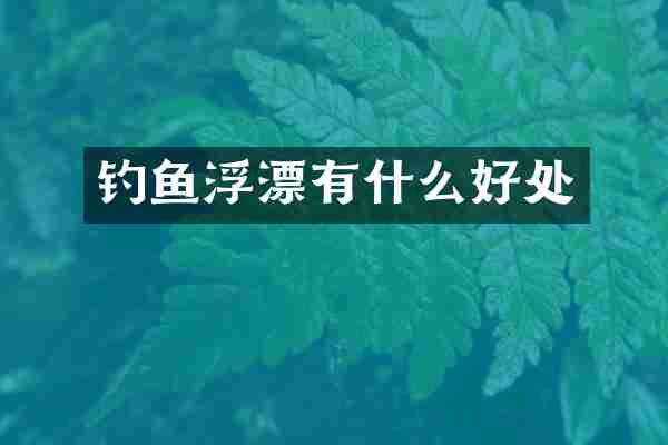 钓鱼浮漂有什么好处