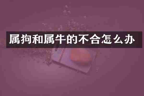 属狗和属牛的不合怎么办
