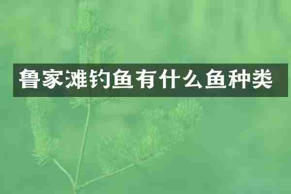 鲁家滩钓鱼有什么鱼种类