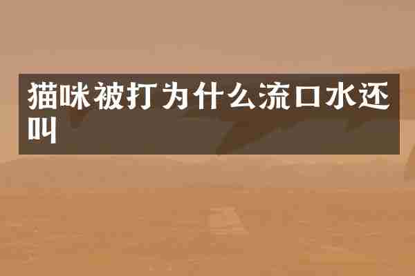 猫咪被打为什么流口水还叫