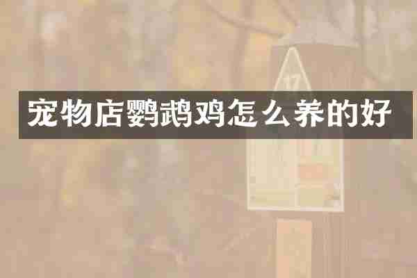 宠物店鹦鹉鸡怎么养的好