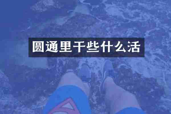 圆通里干些什么活