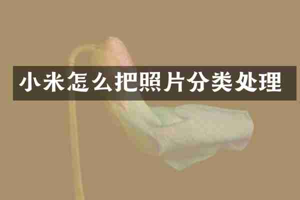 小米怎么把照片分类处理