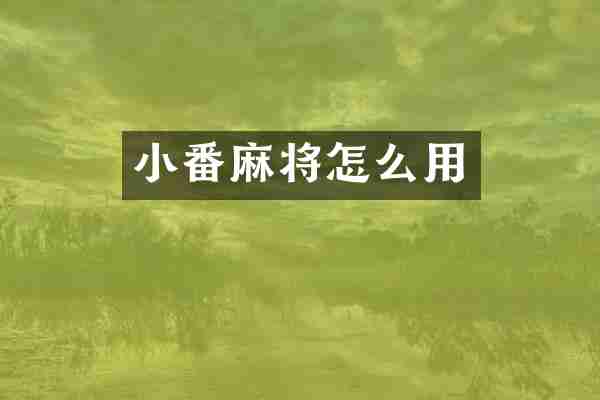 小番麻将怎么用