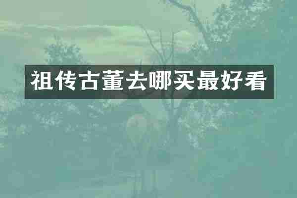 祖传古董去哪买最好看