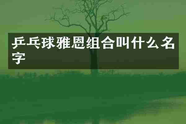 乒乓球雅恩组合叫什么名字