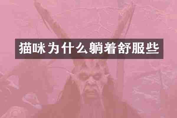 猫咪为什么躺着舒服些
