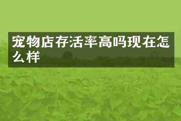 宠物店存活率高吗现在怎么样