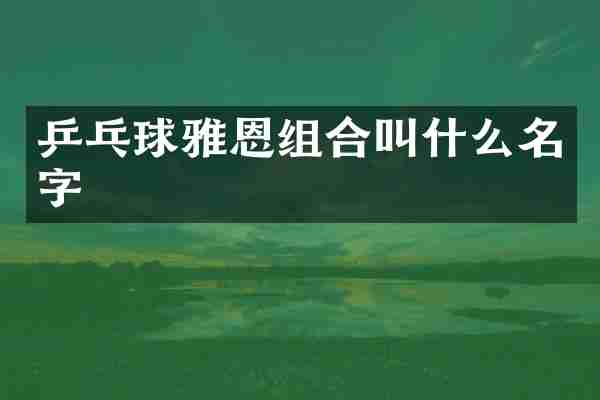 乒乓球雅恩组合叫什么名字