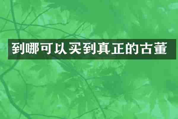 到哪可以买到真正的古董