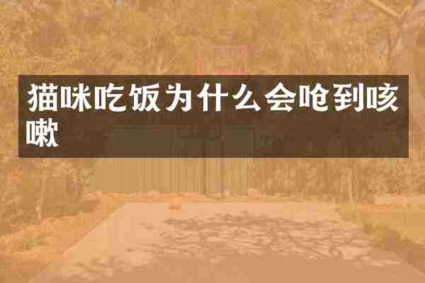 猫咪吃饭为什么会呛到咳嗽