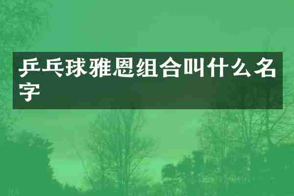 乒乓球雅恩组合叫什么名字