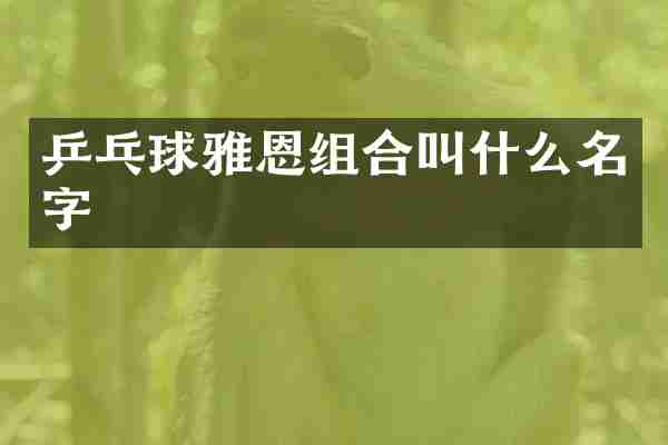 乒乓球雅恩组合叫什么名字
