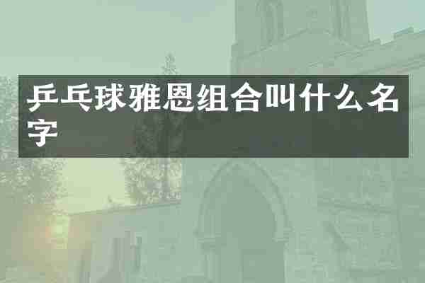乒乓球雅恩组合叫什么名字
